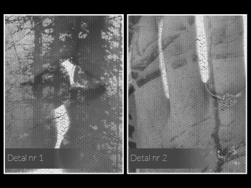 Siła jedności - nowoczesny obraz na płótnie - 50x70 cm Siła jedności - nowoczesny obraz na płótnie - 50x70 cm