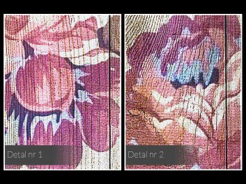 Synteza piękna - nowoczesny obraz na płótnie - 50x70 cm