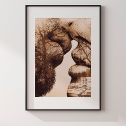 Antologia intymności - plakat dekoracyjny