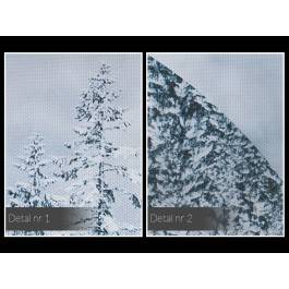 Kraina wiecznej zimy - nowoczesny obraz na płótnie - 120x80 cm