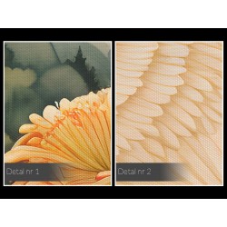 Instynkty - nowoczesny obraz na płótnie