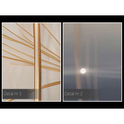 Pomyśl życzenie - nowoczesny obraz na płótnie