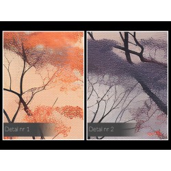 Roztańczone na wietrze  - nowoczesny obraz na płótnie