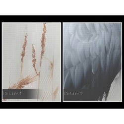 Poszukujący siebie  - nowoczesny obraz na płótnie