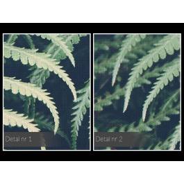 Wysmakowana paproć - nowoczesny obraz na płótnie - 120x80 cm