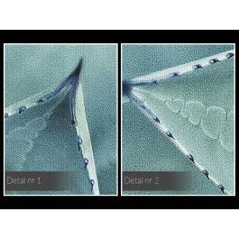 Urokliwość zieleni - nowoczesny obraz na płótnie - 120x80 cm Urokliwość zieleni - nowoczesny obraz na płótnie - 120x80 cm