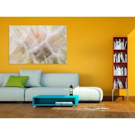 Rodzina dmuchawców - zdjęcie na płótnie - 120x80 cm