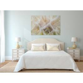 Rodzina dmuchawców - zdjęcie na płótnie - 120x80 cm