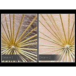 Rodzina dmuchawców - zdjęcie na płótnie - 120x80 cm