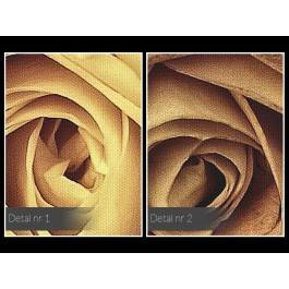 Herbaciane róże - fotoobraz na płótnie - 120x80 cm