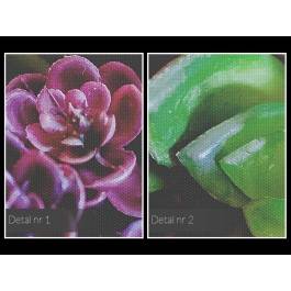 Kolorowe sukulenty - nowoczesny obraz na płótnie - 120x80 cm