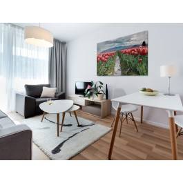 Pola tulipanów - fotoobraz do sypialni - 120x80 cm Pola tulipanów - fotoobraz do sypialni - 120x80 cm