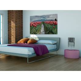 Pola tulipanów - fotoobraz do sypialni - 120x80 cm Pola tulipanów - fotoobraz do sypialni - 120x80 cm