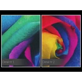 Tęczowe róże - fotografia na płótnie - 120x80 cm