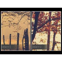 Ścieżki myśli - nowoczesny obraz na płótnie - 120x80 cm Ścieżki myśli - nowoczesny obraz na płótnie - 120x80 cm