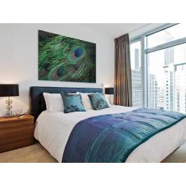 Pawie pióro - fotoobraz do sypialni - 120x80 cm