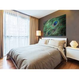 Pawie pióro - fotoobraz do sypialni - 120x80 cm