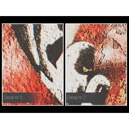 Dziewczyna z sąsiedztwa - zdjęcie na płótnie - 120x80 cm