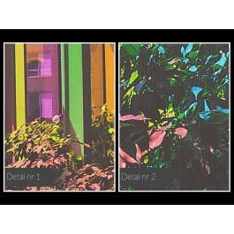 Coś optymistycznego - fotografia na płótnie - 120x80 cm Coś optymistycznego - fotografia na płótnie - 120x80 cm