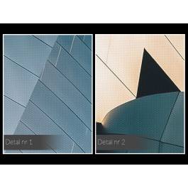 Walt Disney Concert Hall - fotoobraz do sypialni - 120x80 cm Walt Disney Concert Hall - fotoobraz do sypialni - 120x80 cm