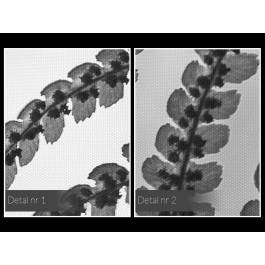 Ziemskie opowieści - nowoczesny obraz na płótnie - 120x80 cm