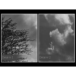 Wieczne drzewo życia - fotoobraz do salonu - 120x80 cm