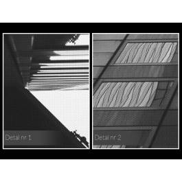 Własnymi ścieżkami - nowoczesny obraz na płótnie