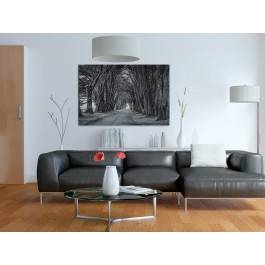 Obrany kierunek - nowoczesny obraz na płótnie - 120x80 cm