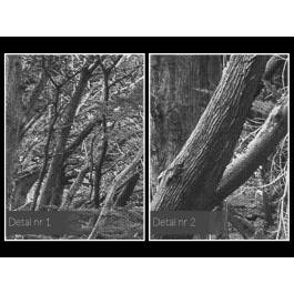 Obrany kierunek - nowoczesny obraz na płótnie - 120x80 cm