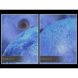 Borówkowe szaleństwo - fotoobraz do kuchni - 120x80 cm