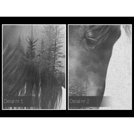 Majestatyczny galop - nowoczesny obraz na płótnie - 120x80 cm