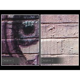 Lady Rose - fotoobraz na płótnie - 120x80 cm