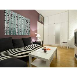 Brzozowy labirynt - nowoczesny obraz na płótnie - 120x80 cm