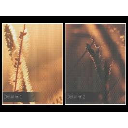 Oddech lata - fotoobraz do salonu - 120x80 cm