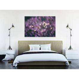 Lawendowe marzenie - fotografia na płótnie - 120x80 cm