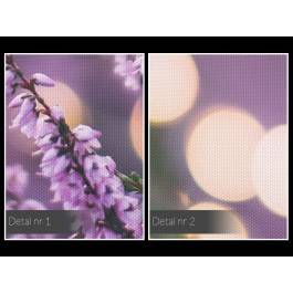 Lawendowe marzenie - fotografia na płótnie - 120x80 cm