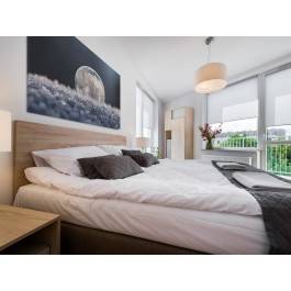 W krainie lodu - fotografia na płótnie - 120x80 cm