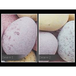 Kolory życia - fotoobraz do salonu - 120x80 cm Kolory życia - fotoobraz do salonu - 120x80 cm