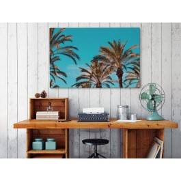 Palm beach - fotoobraz do salonu - 120x80 cm Palm beach - fotoobraz do salonu - 120x80 cm