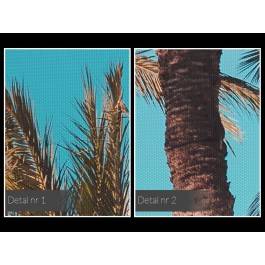 Palm beach - fotoobraz do salonu - 120x80 cm Palm beach - fotoobraz do salonu - 120x80 cm