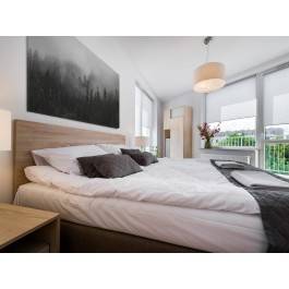 We mgle - fotografia na płótnie - 120x80 cm