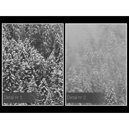 Dolina mgieł - nowoczesny obraz na płótnie - 120x80 cm