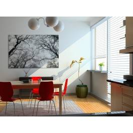 Eleganckie ujęcie natury - nowoczesny obraz do salonu - 120x80 cm Eleganckie ujęcie natury - nowoczesny obraz do salonu - 120x80 cm