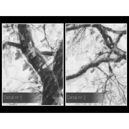 Eleganckie ujęcie natury - nowoczesny obraz do salonu - 120x80 cm Eleganckie ujęcie natury - nowoczesny obraz do salonu - 120x80 cm