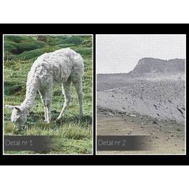 Pejzaż z alpakami - zdjęcie na płótnie - 120x80 cm Pejzaż z alpakami - zdjęcie na płótnie - 120x80 cm