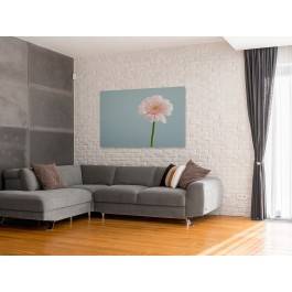 Urokliwa gerbera - nowoczesny obraz na płótnie - 120x80 cm Urokliwa gerbera - nowoczesny obraz na płótnie - 120x80 cm