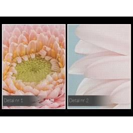 Urokliwa gerbera - nowoczesny obraz na płótnie - 120x80 cm Urokliwa gerbera - nowoczesny obraz na płótnie - 120x80 cm