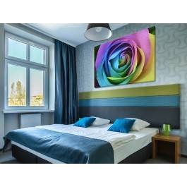 Zaczarowana róża - fotografia na płótnie - 120x80 cm