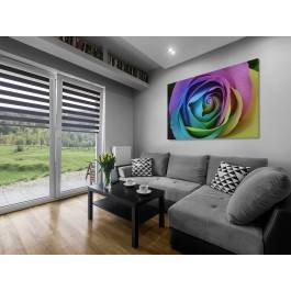 Zaczarowana róża - fotografia na płótnie - 120x80 cm