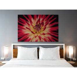 W promieniach płatków - fotoobraz na płótnie - 120x80 cm